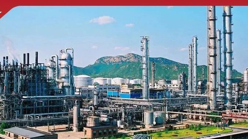 增稠剂与胶凝剂：揭秘其作用原理与应用差异